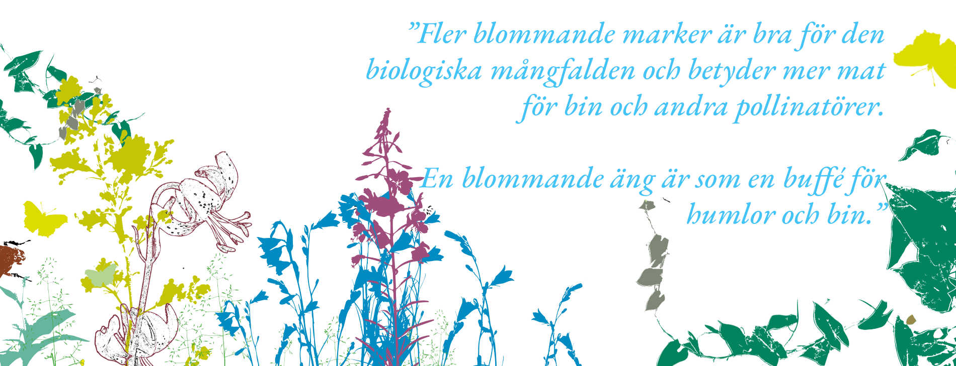 Låt ängen blomma